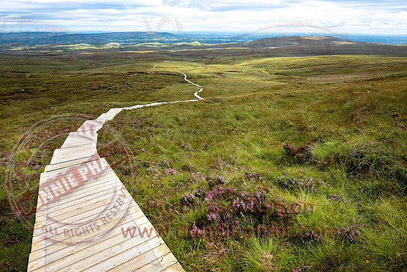 Cuilcagh Mountain.