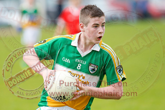 Newtownbutler (3-15) V Derrylin (2-6) in GAA Football U14 Division 2 Final.