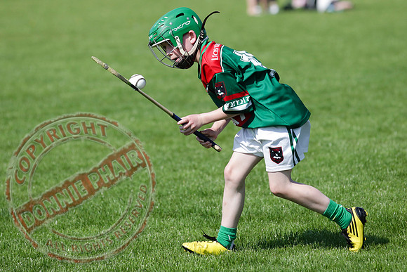 Opening of Lisnaskea GAA Emmetts Second Field - Youth Hurley.