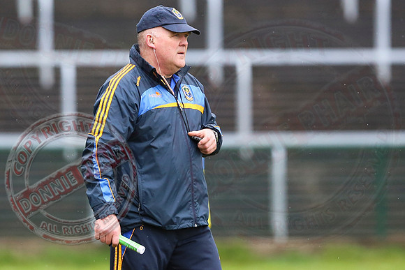 Fermanagh (4-10) V Roscommon (3-17) in Allianz National Football League Division 3.