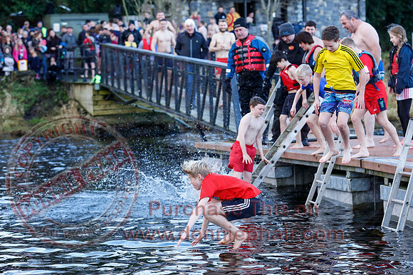 New Years Day Charity Swim at Galloon Island.