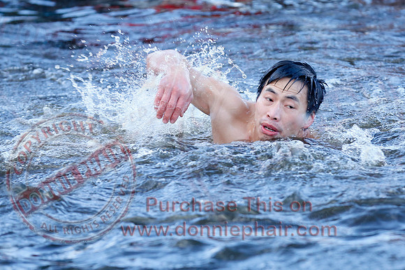 New Years Day Charity Swim at Galloon Island.