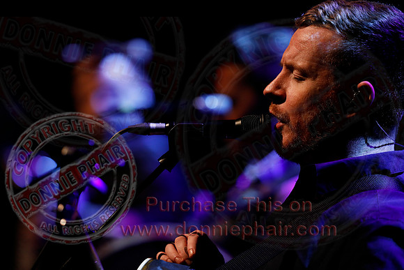 The High Kings in concert-100