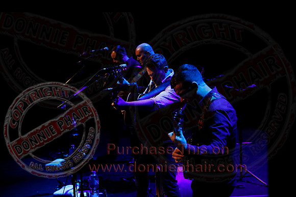 The High Kings in concert-116