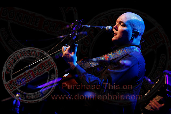 The High Kings in concert-121