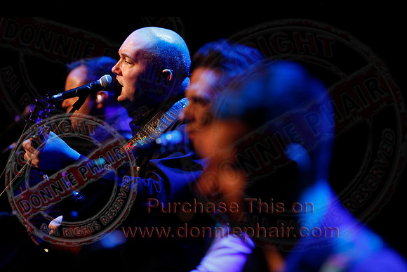 The High Kings in concert-124