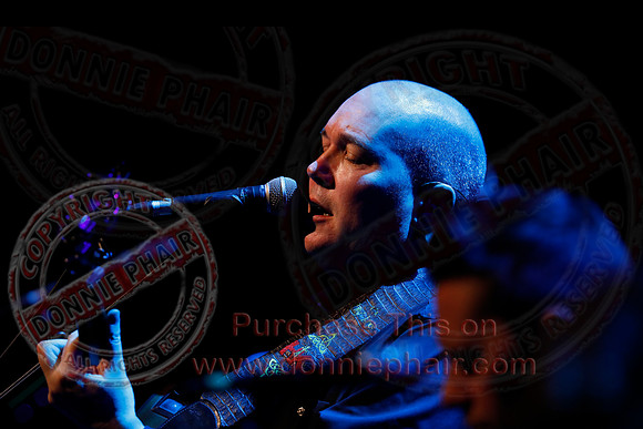 The High Kings in concert-126