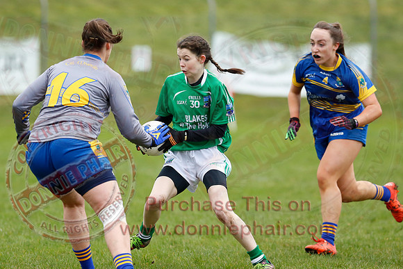 Fermanagh (1-09) V Warwickshire (2-12) in GAA Allianz National Hurling League Dvision 3B.