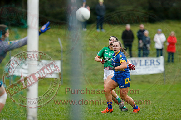 Fermanagh (1-09) V Warwickshire (2-12) in GAA Allianz National Hurling League Dvision 3B.