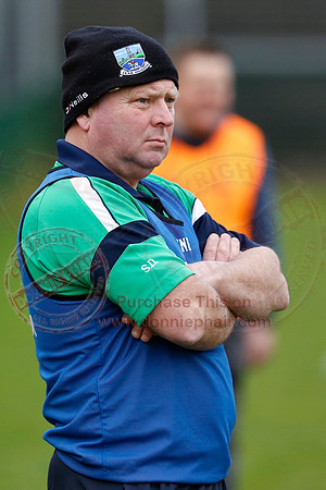 Fermanagh (1-09) V Warwickshire (2-12) in GAA Allianz National Hurling League Dvision 3B.
