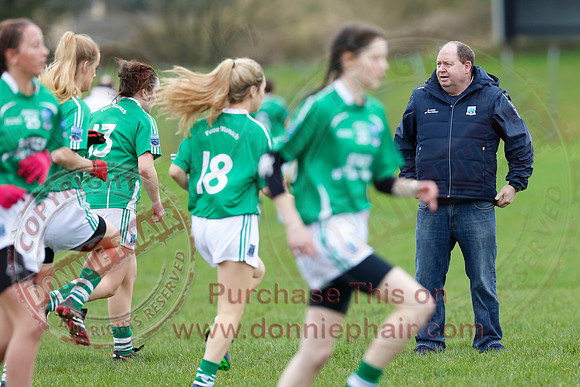 Fermanagh (1-09) V Warwickshire (2-12) in GAA Allianz National Hurling League Dvision 3B.