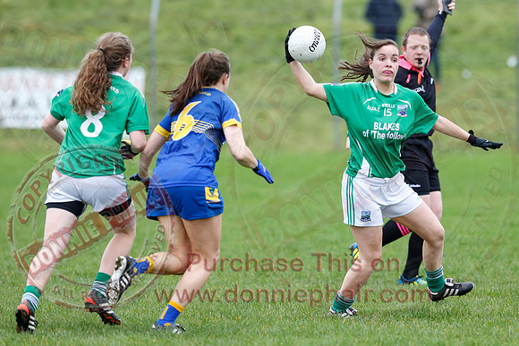 Fermanagh (1-09) V Warwickshire (2-12) in GAA Allianz National Hurling League Dvision 3B.