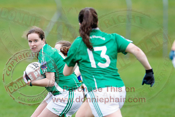Fermanagh (1-09) V Warwickshire (2-12) in GAA Allianz National Hurling League Dvision 3B.