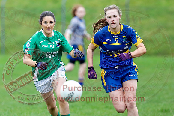 Fermanagh (1-09) V Warwickshire (2-12) in GAA Allianz National Hurling League Dvision 3B.