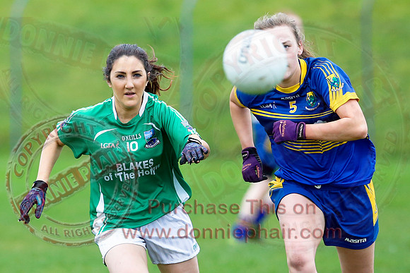 Fermanagh (1-09) V Warwickshire (2-12) in GAA Allianz National Hurling League Dvision 3B.
