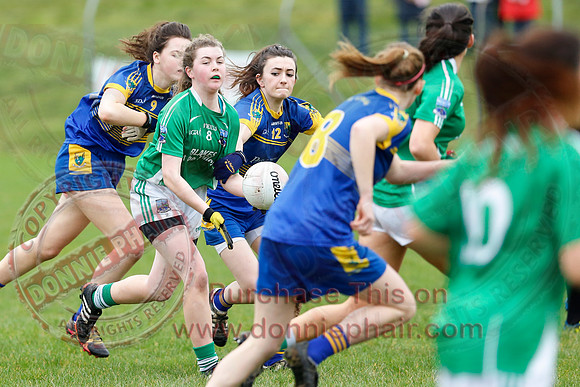 Fermanagh (1-09) V Warwickshire (2-12) in GAA Allianz National Hurling League Dvision 3B.
