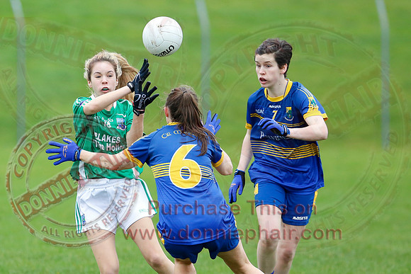 Fermanagh (1-09) V Warwickshire (2-12) in GAA Allianz National Hurling League Dvision 3B.
