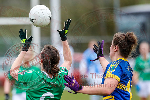 Fermanagh (1-09) V Warwickshire (2-12) in GAA Allianz National Hurling League Dvision 3B.