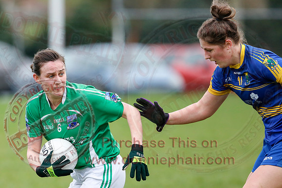 Fermanagh (1-09) V Warwickshire (2-12) in GAA Allianz National Hurling League Dvision 3B.