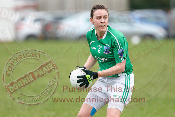 Fermanagh (1-09) V Warwickshire (2-12) in GAA Allianz National Hurling League Dvision 3B.