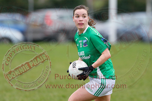 Fermanagh (1-09) V Warwickshire (2-12) in GAA Allianz National Hurling League Dvision 3B.