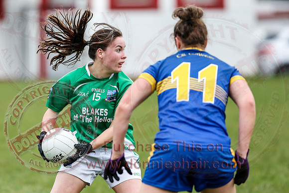 Fermanagh (1-09) V Warwickshire (2-12) in GAA Allianz National Hurling League Dvision 3B.