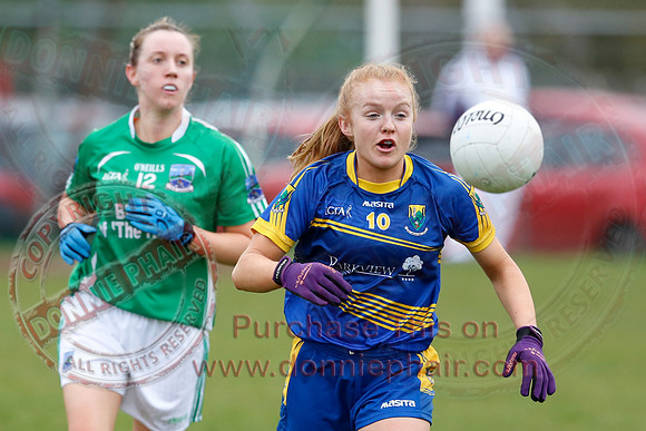 Fermanagh (1-09) V Warwickshire (2-12) in GAA Allianz National Hurling League Dvision 3B.