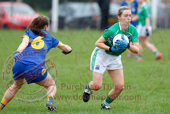 Fermanagh (1-09) V Warwickshire (2-12) in GAA Allianz National Hurling League Dvision 3B.