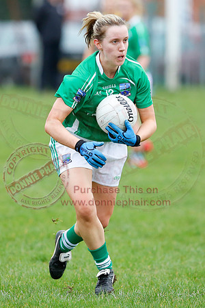Fermanagh (1-09) V Warwickshire (2-12) in GAA Allianz National Hurling League Dvision 3B.