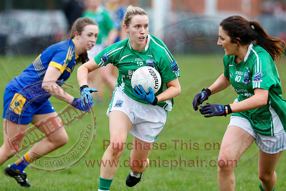 Fermanagh (1-09) V Warwickshire (2-12) in GAA Allianz National Hurling League Dvision 3B.