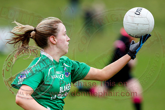 Fermanagh (1-09) V Warwickshire (2-12) in GAA Allianz National Hurling League Dvision 3B.