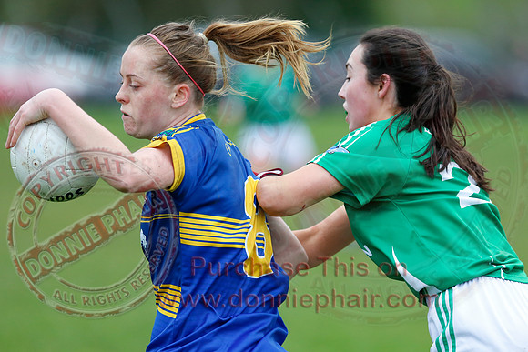 Fermanagh (1-09) V Warwickshire (2-12) in GAA Allianz National Hurling League Dvision 3B.