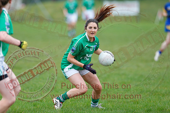 Fermanagh (1-09) V Warwickshire (2-12) in GAA Allianz National Hurling League Dvision 3B.