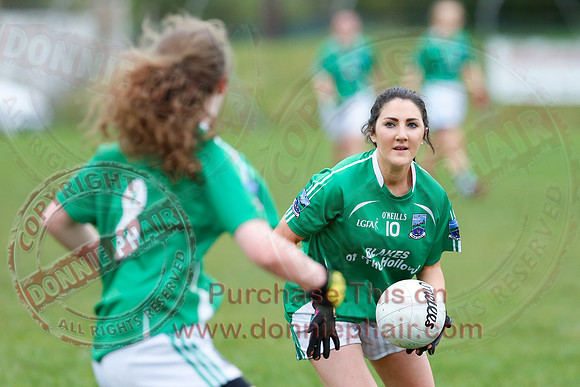Fermanagh (1-09) V Warwickshire (2-12) in GAA Allianz National Hurling League Dvision 3B.