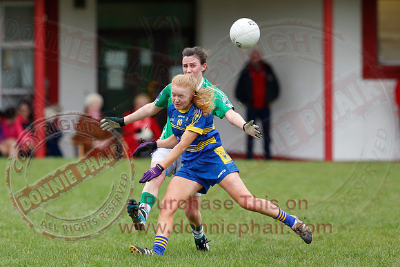 Fermanagh (1-09) V Warwickshire (2-12) in GAA Allianz National Hurling League Dvision 3B.