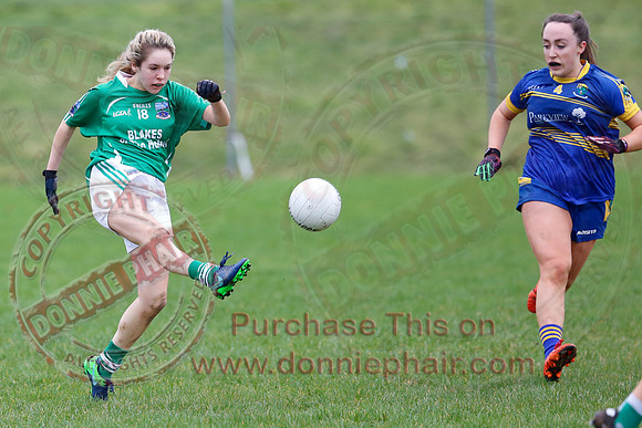 Fermanagh (1-09) V Warwickshire (2-12) in GAA Allianz National Hurling League Dvision 3B.