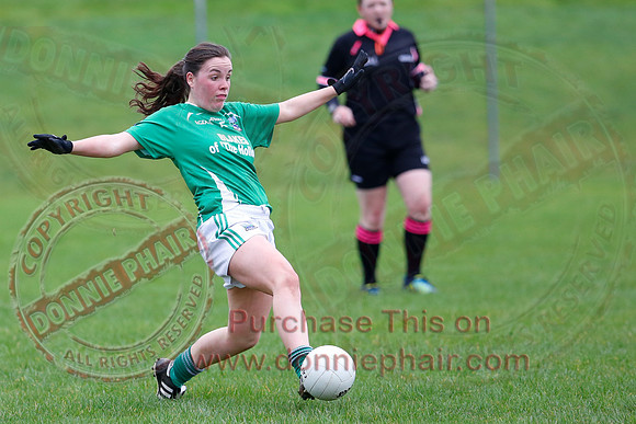 Fermanagh (1-09) V Warwickshire (2-12) in GAA Allianz National Hurling League Dvision 3B.