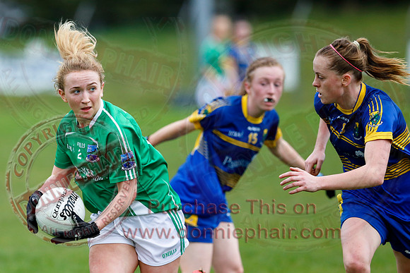 Fermanagh (1-09) V Warwickshire (2-12) in GAA Allianz National Hurling League Dvision 3B.