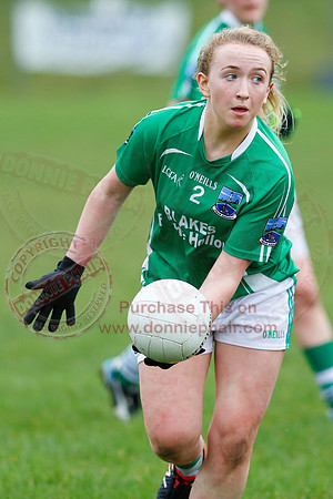 Fermanagh (1-09) V Warwickshire (2-12) in GAA Allianz National Hurling League Dvision 3B.