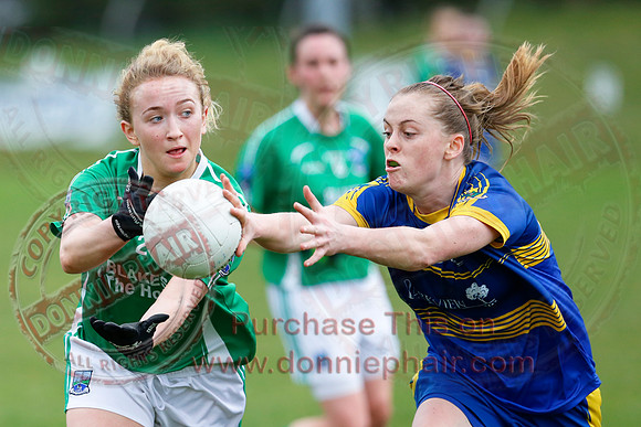 Fermanagh (1-09) V Warwickshire (2-12) in GAA Allianz National Hurling League Dvision 3B.