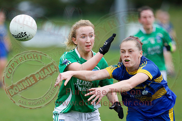 Fermanagh (1-09) V Warwickshire (2-12) in GAA Allianz National Hurling League Dvision 3B.