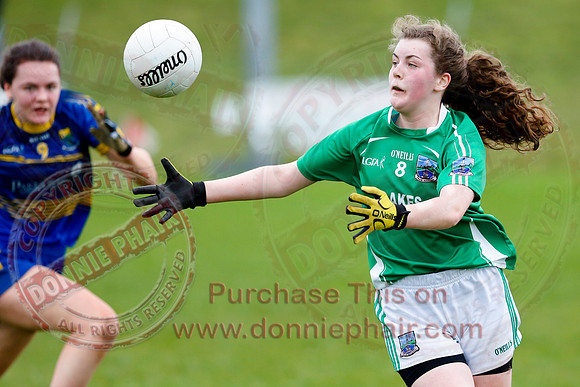Fermanagh (1-09) V Warwickshire (2-12) in GAA Allianz National Hurling League Dvision 3B.