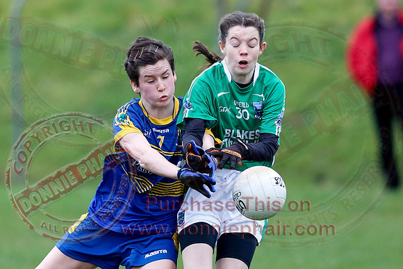 Fermanagh (1-09) V Warwickshire (2-12) in GAA Allianz National Hurling League Dvision 3B.