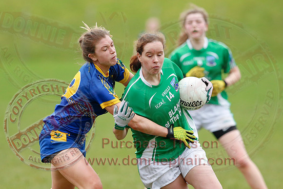 Fermanagh (1-09) V Warwickshire (2-12) in GAA Allianz National Hurling League Dvision 3B.