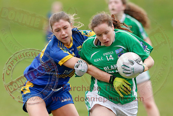 Fermanagh (1-09) V Warwickshire (2-12) in GAA Allianz National Hurling League Dvision 3B.