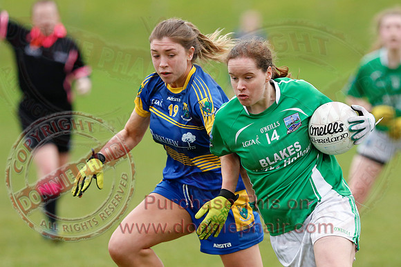 Fermanagh (1-09) V Warwickshire (2-12) in GAA Allianz National Hurling League Dvision 3B.