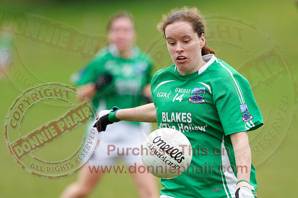 Fermanagh (1-09) V Warwickshire (2-12) in GAA Allianz National Hurling League Dvision 3B.
