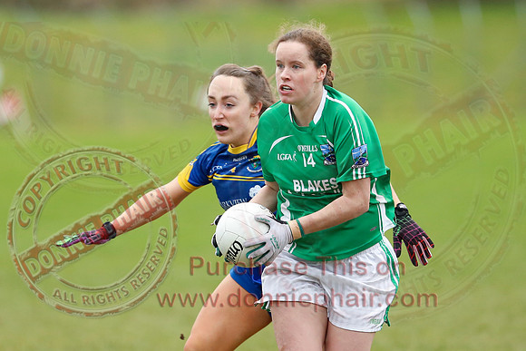 Fermanagh (1-09) V Warwickshire (2-12) in GAA Allianz National Hurling League Dvision 3B.