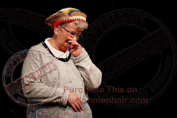 Irish Traditional Show held in the Share Centre Lisnaskea in aid of Knocks Grattans
