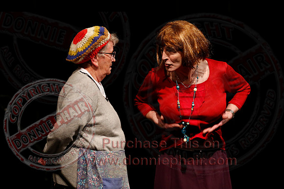 Irish Traditional Show held in the Share Centre Lisnaskea in aid of Knocks Grattans